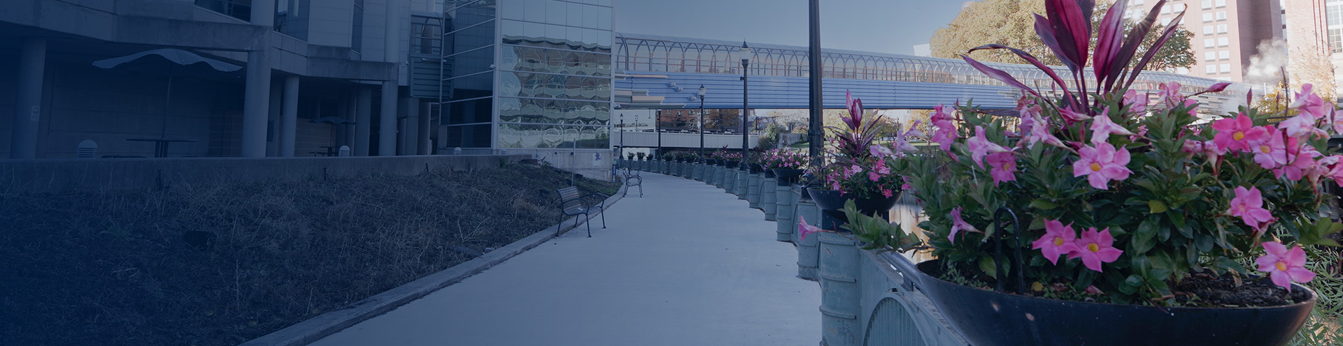 lansingcenter_subpage